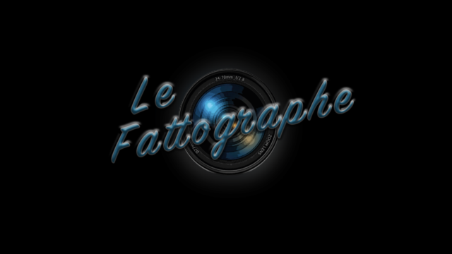 logo-2